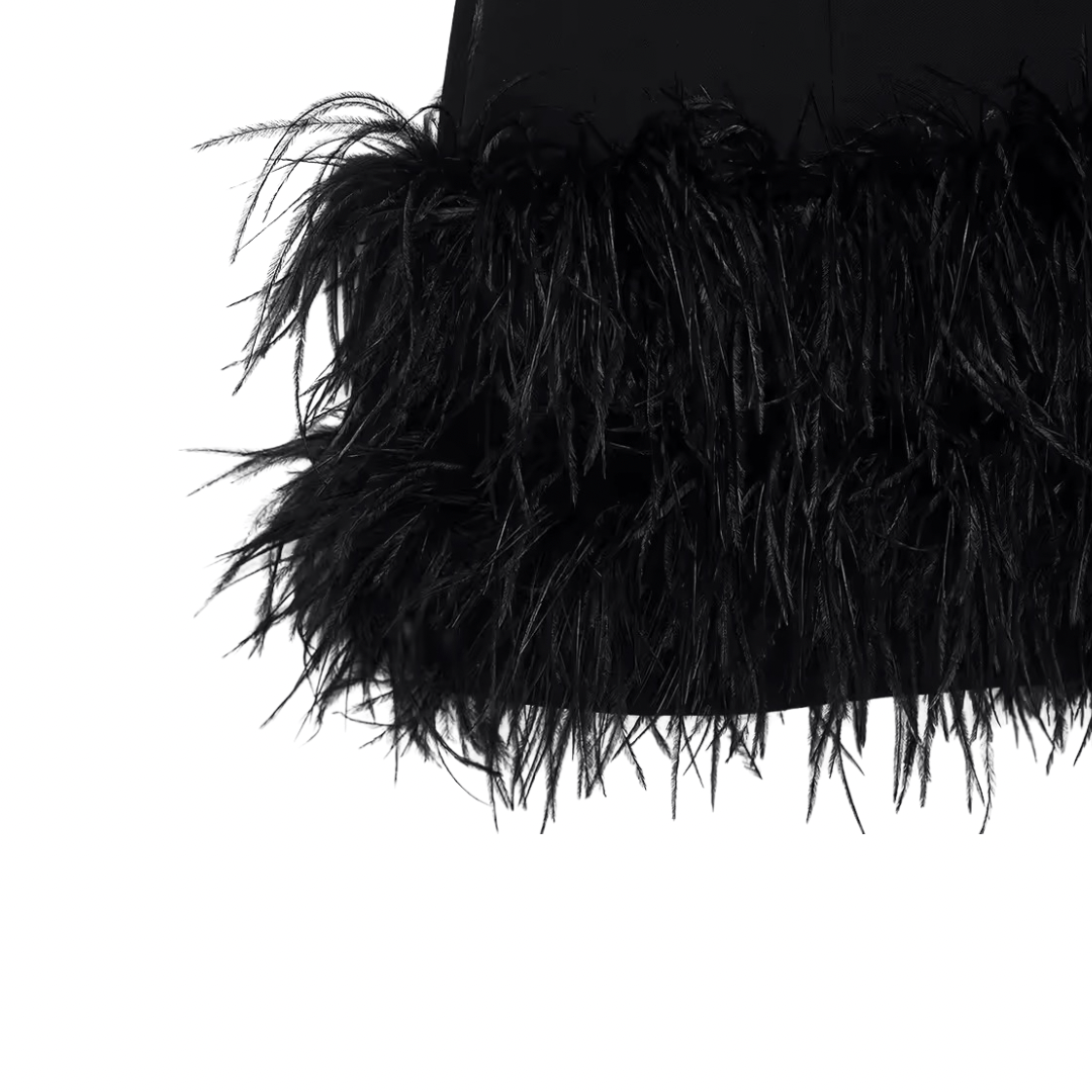 Feder Minikleid - Fav Avenue